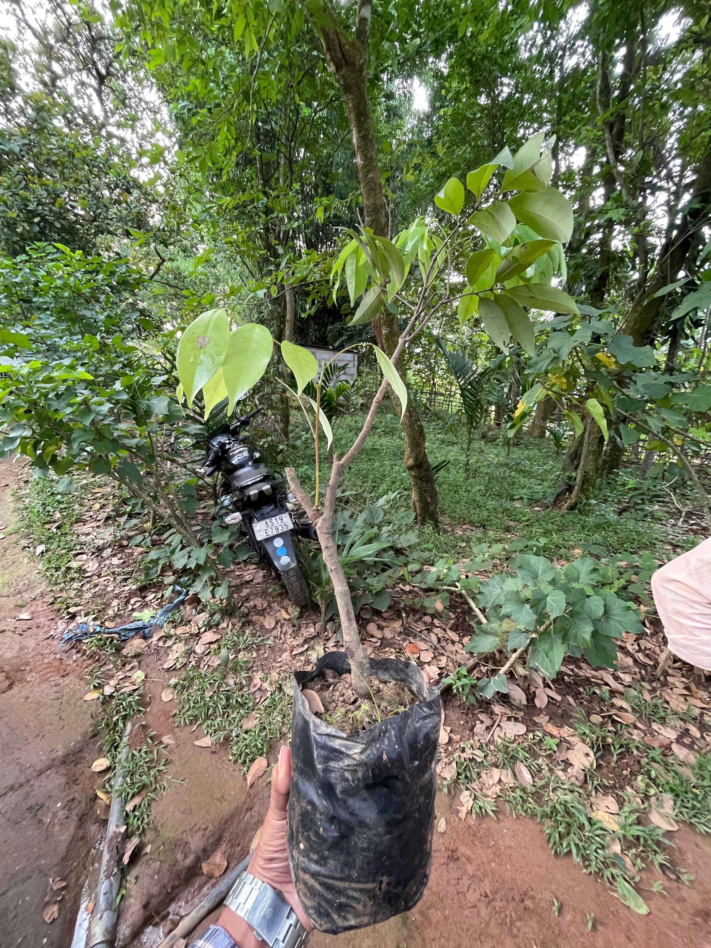 Activity image 3