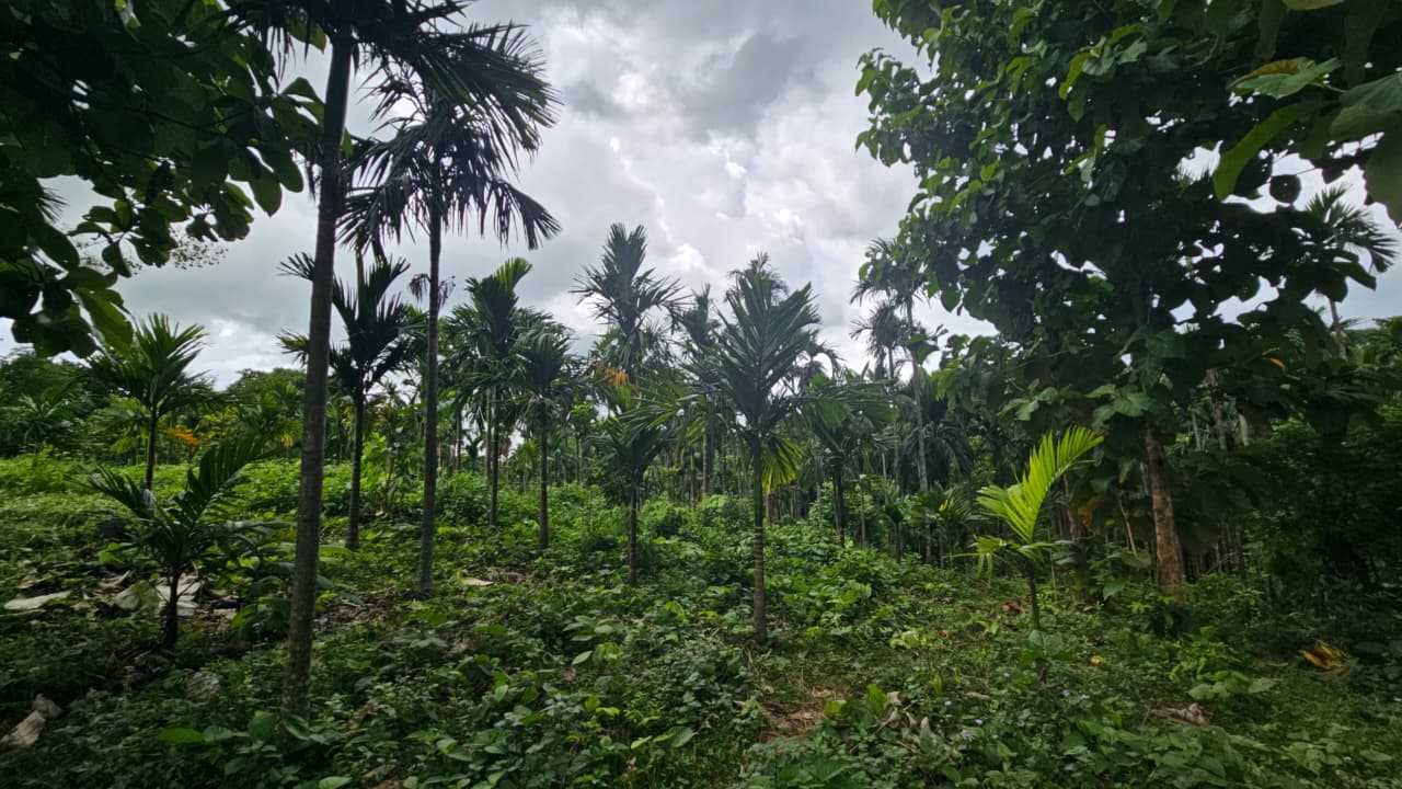 Activity image 4