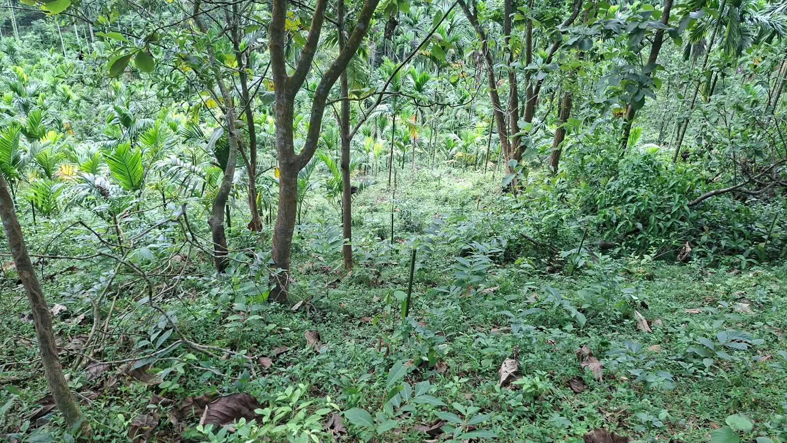 Activity image 3