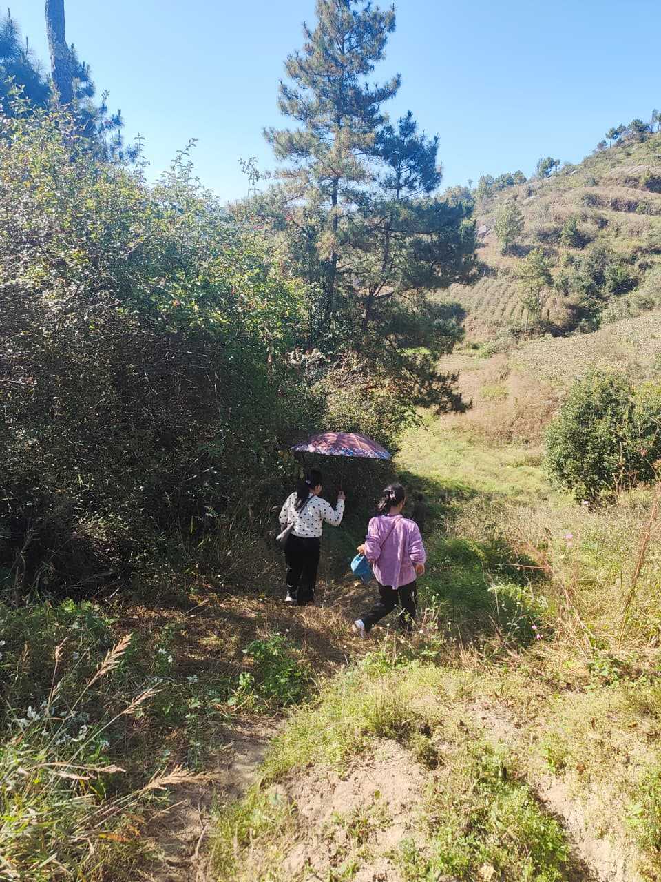 A field visit was conducted to Mawsawa and Mawblah villages.