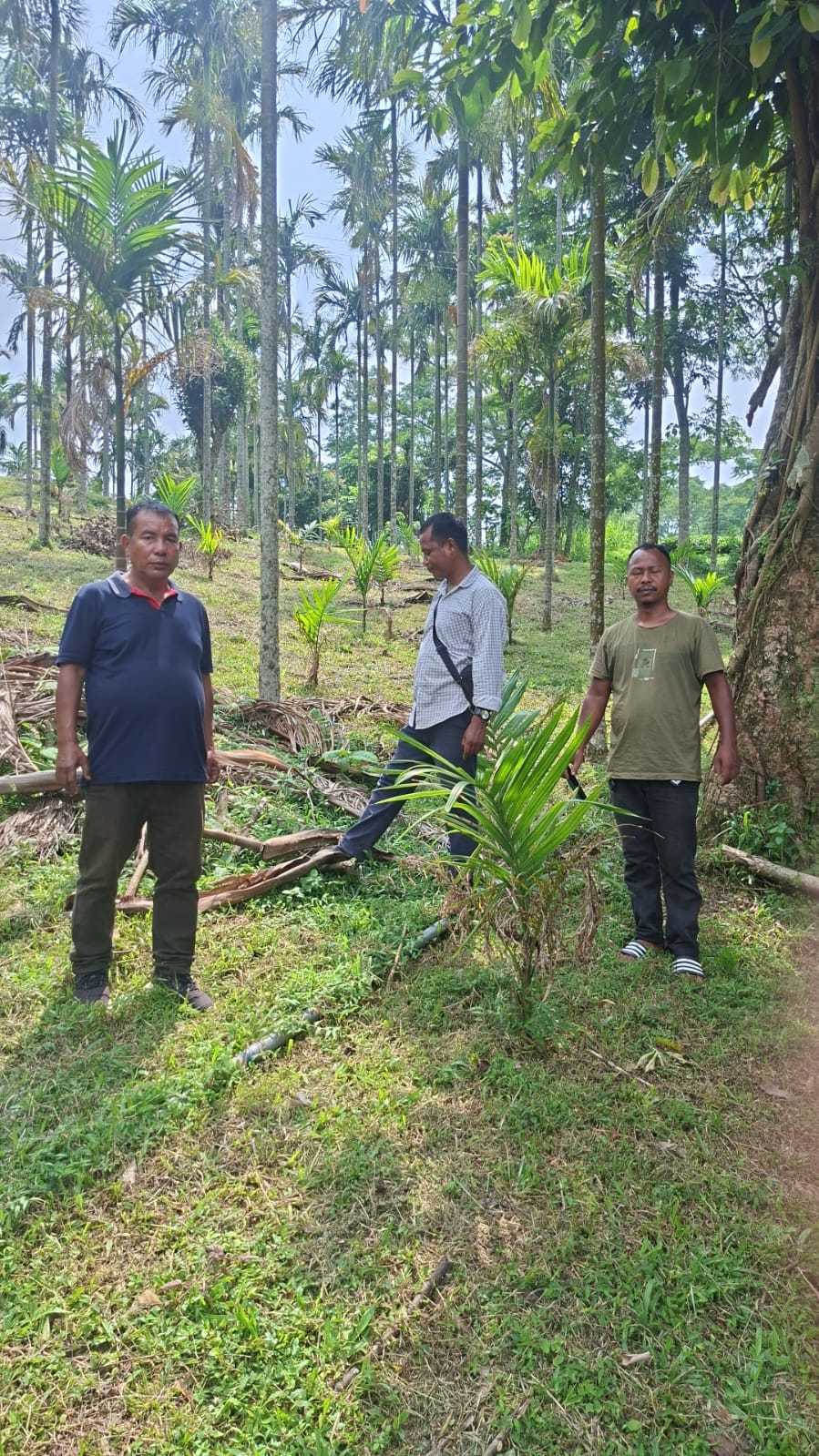 Field Visit and Model Demonstration Activities (15–16 June 2026)